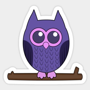 Cute Little Owl Sticker